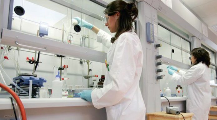 Strasbourg dessine les thérapies du futur