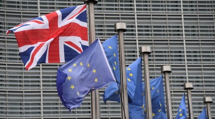 Royaume-Uni: “Renew”, ce petit parti anti-Brexit inspiré par En Marche!