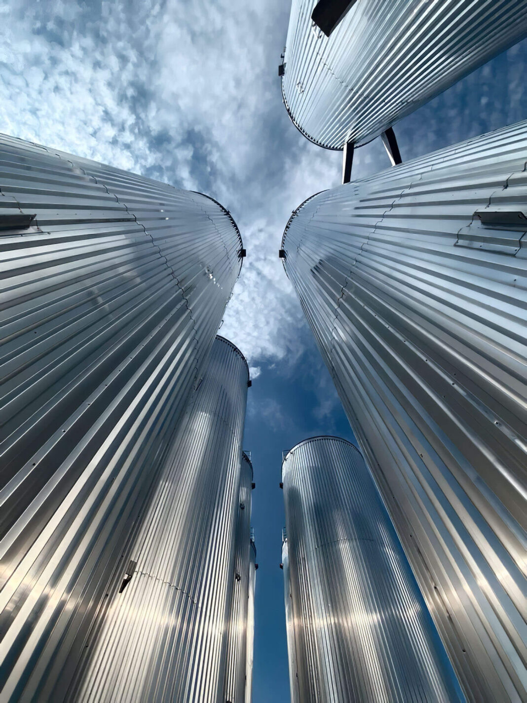 gallery-st-farmaceutico-a045