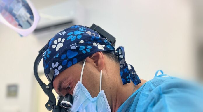 Implantologie à charge immédiate : «Un nouveau sourire en une seule journée ? Aujourd’hui c’est une réalité»