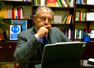 Vision holistique et strabisme stratégique : les nouvelles coordonnées de la gouvernance dans les entreprises familiales